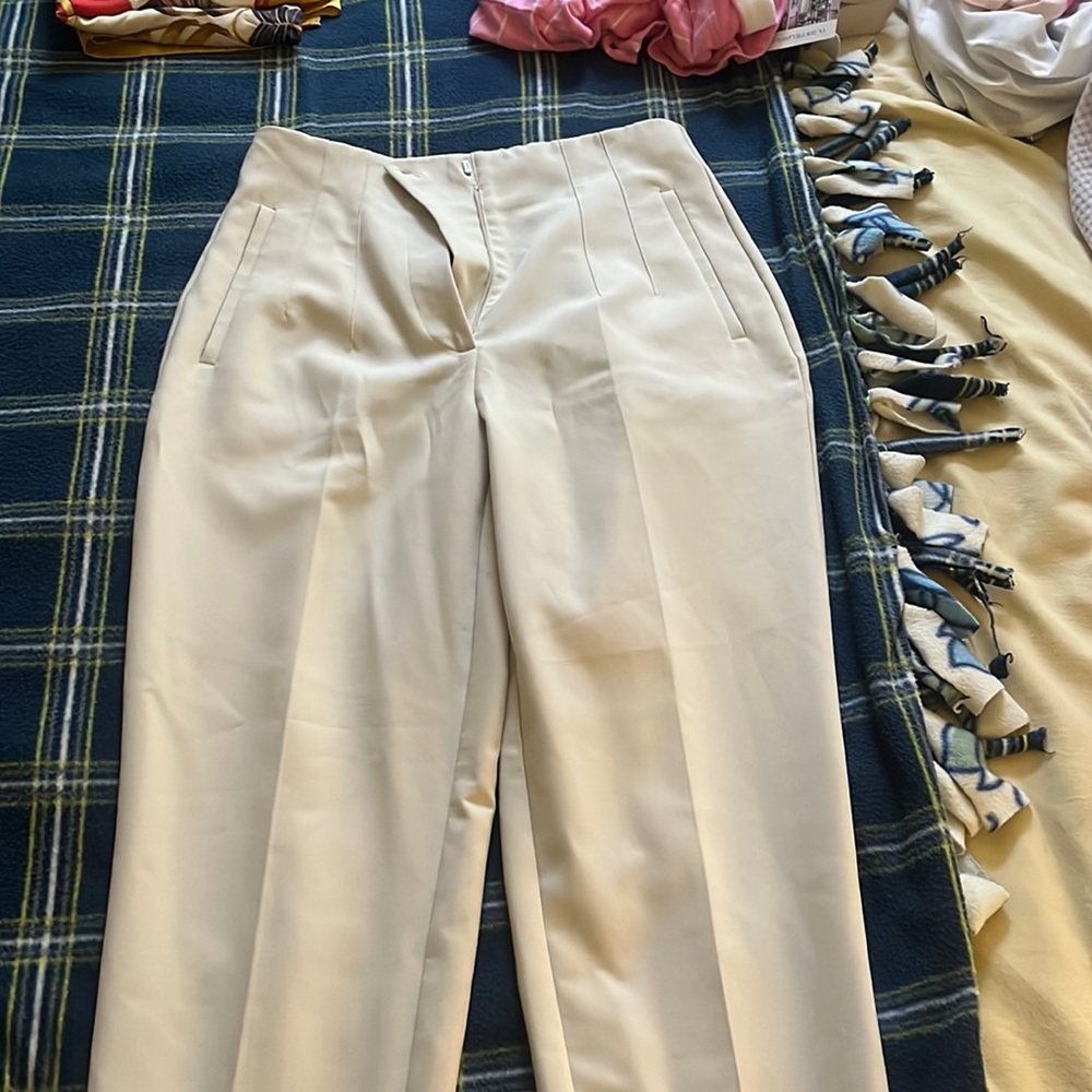 Tan Zara suit pants